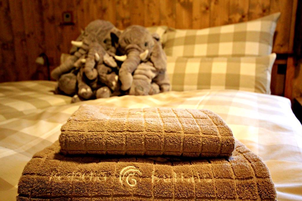 Residence Buffalo Špindlerŭv Mlýn Luaran gambar