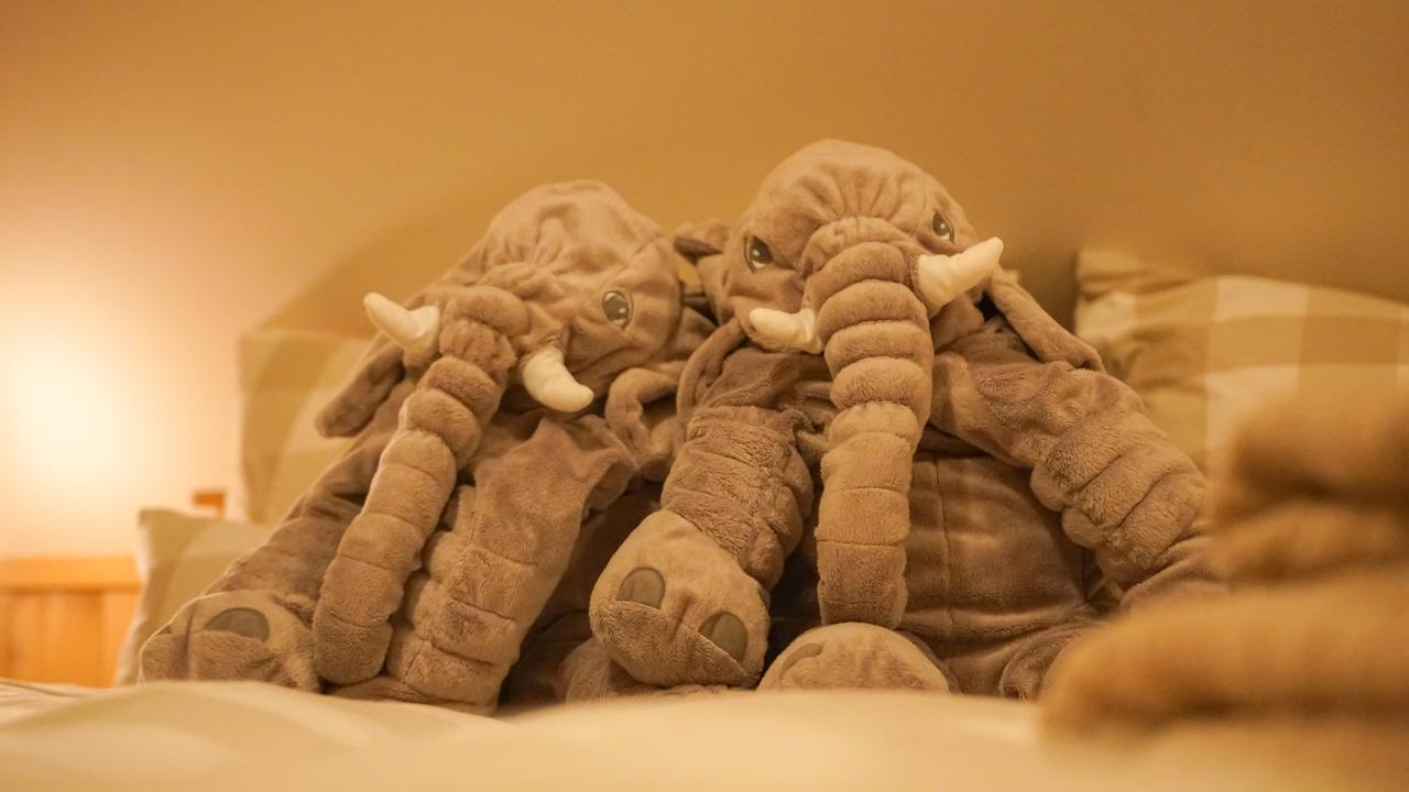 Residence Buffalo Špindlerŭv Mlýn Luaran gambar